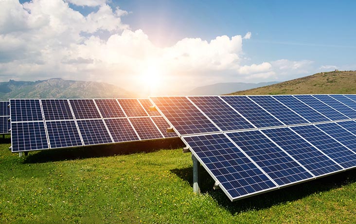 Nectr is investing in solar farms and renewable initiatives